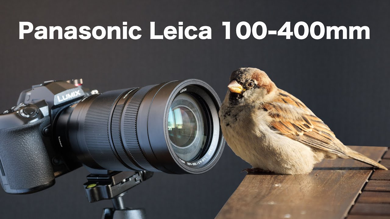 Panasonic Leica 100-400 мм