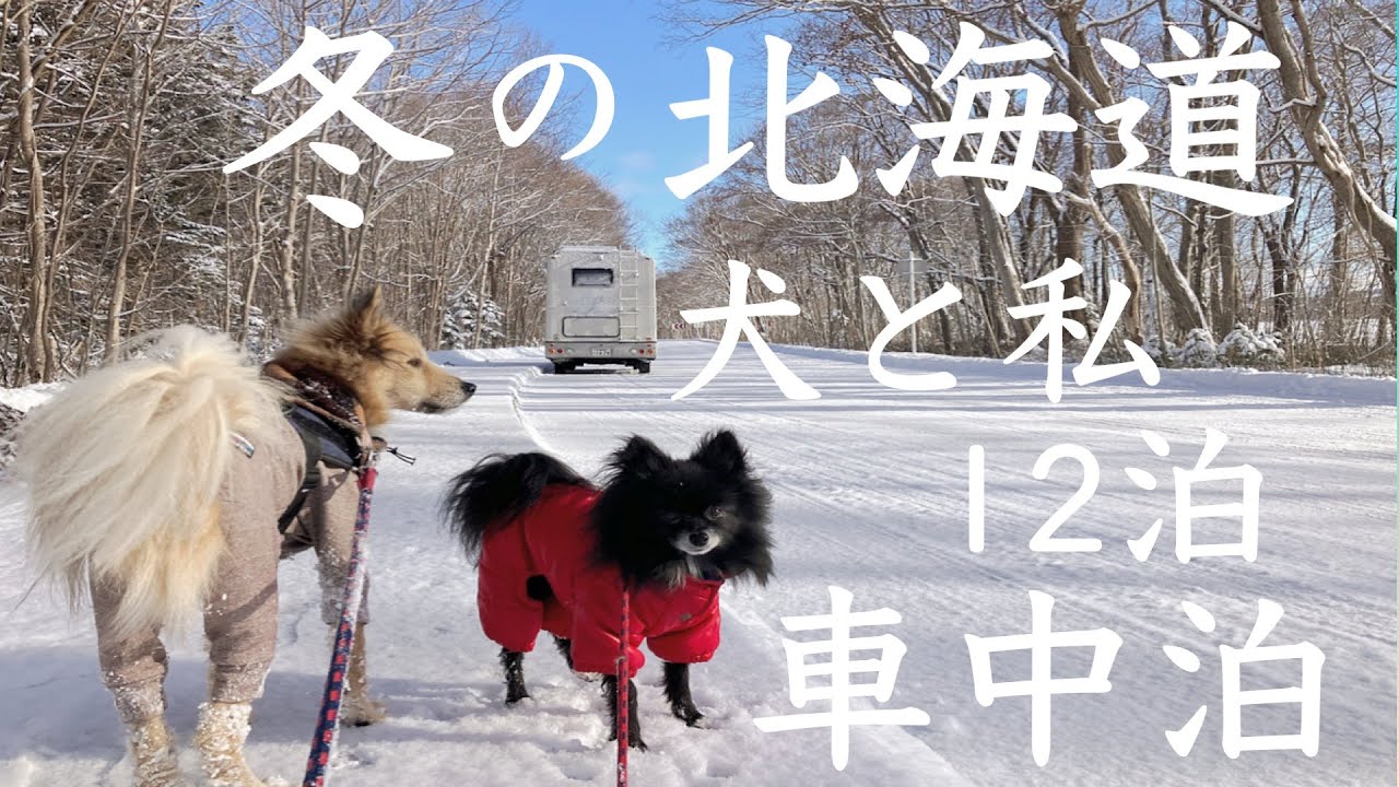 【女一人、犬とキャンピングカー旅】雪降る道の駅車中泊は除雪車が気になる…豊浦〜長万部〜八雲〜森を巡る冬旅【年末年始道南車中泊旅 ②】