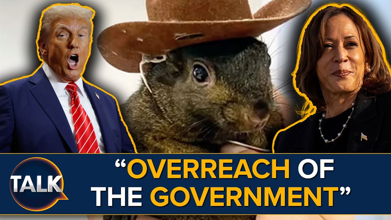 Why Has ‘Peanut’ The Squirrel Become An Online Sensation Ahead Of U.S. Election?