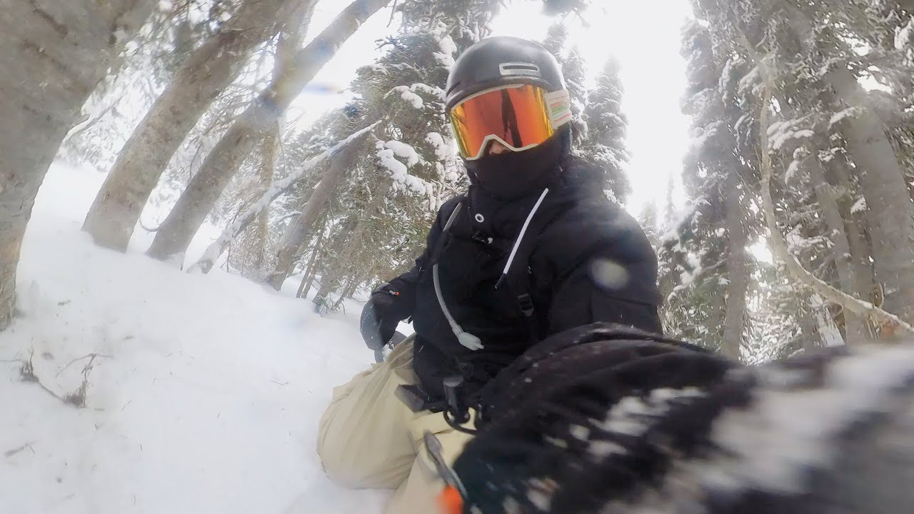 TREES ON GREEN || WHITE PASS
