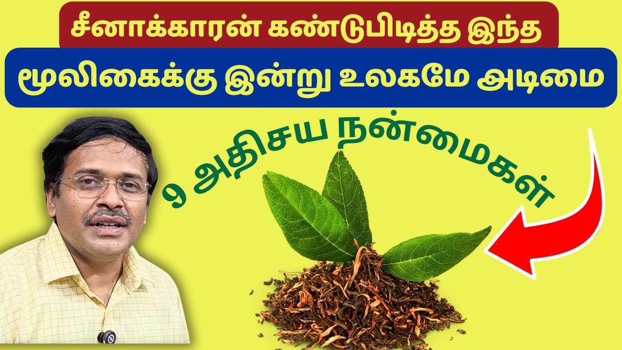 உலகமே சுவைத்து ரசிக்கும் மூலிகையின் 9 அதிசய நன்மைகள் | 9 benefits of black tea
