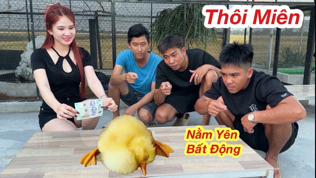 Đây Là Cách Thôi Miên Chú Vịt Mằm Yên Bất Động Mà Không Phải Ai Cũng Biết