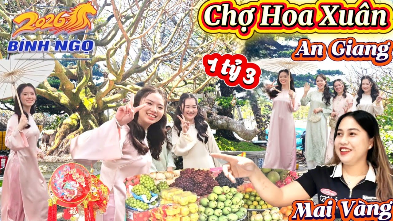 Chợ Hoa Xuân Bính Ngọ 2026 AN Giang Mai Vàng Tiền Tỉ ở Long Xuyên 
