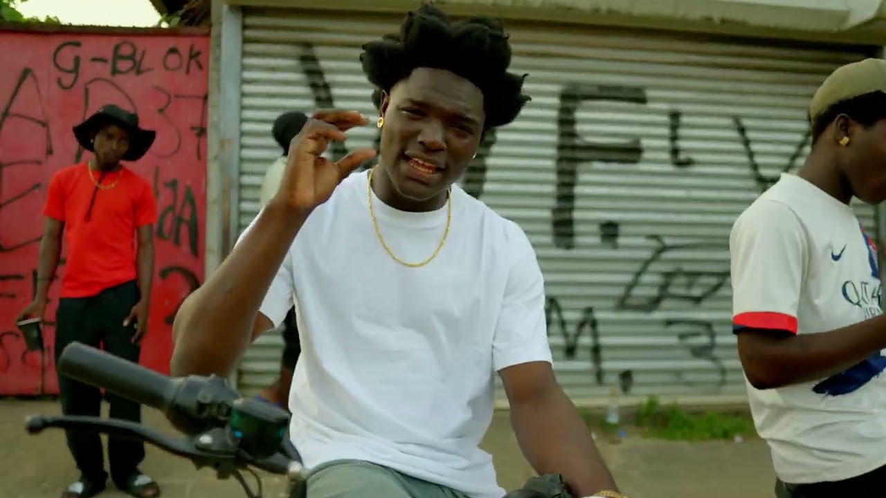 HLF VANO-Fii (official video)