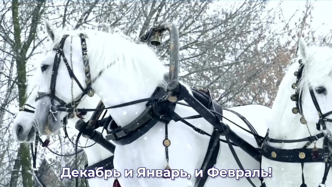 ❄️ Ева Талем "Три белых коня"