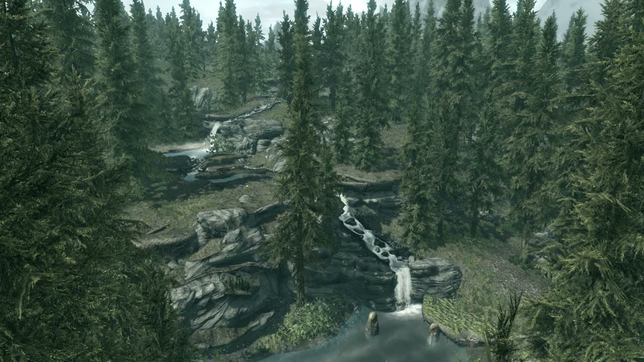 Skyrim. TESV. Evergreen Grove, panorama and ambient sounds.