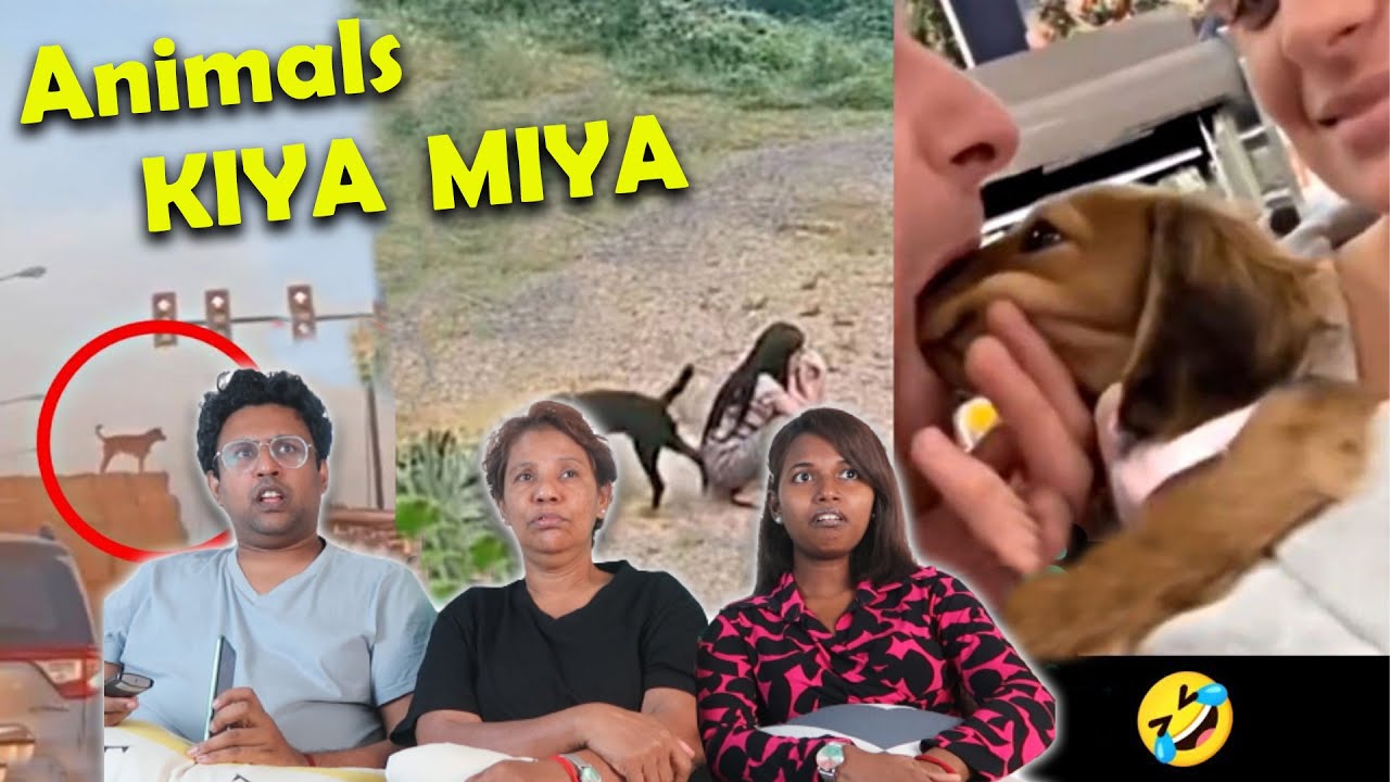 ANIMALS KIYA MIYAKAL !! 😂|| Ramstk Family@twistystory