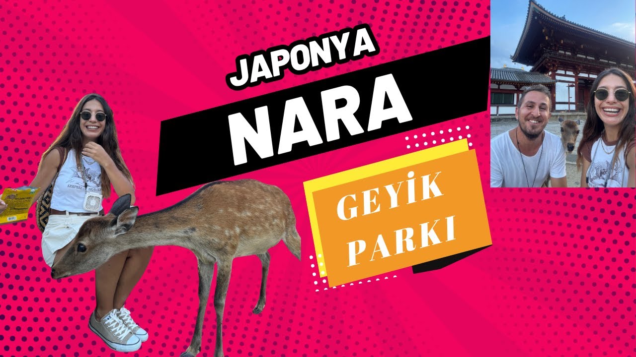 KYOTO-NARA GEZİLECEK YERLER | KYOTO'DAN NARA'YA ULAŞIM |GEYİK PARKI |NARA'YA EN KOLAY NASIL GİDİLİR?