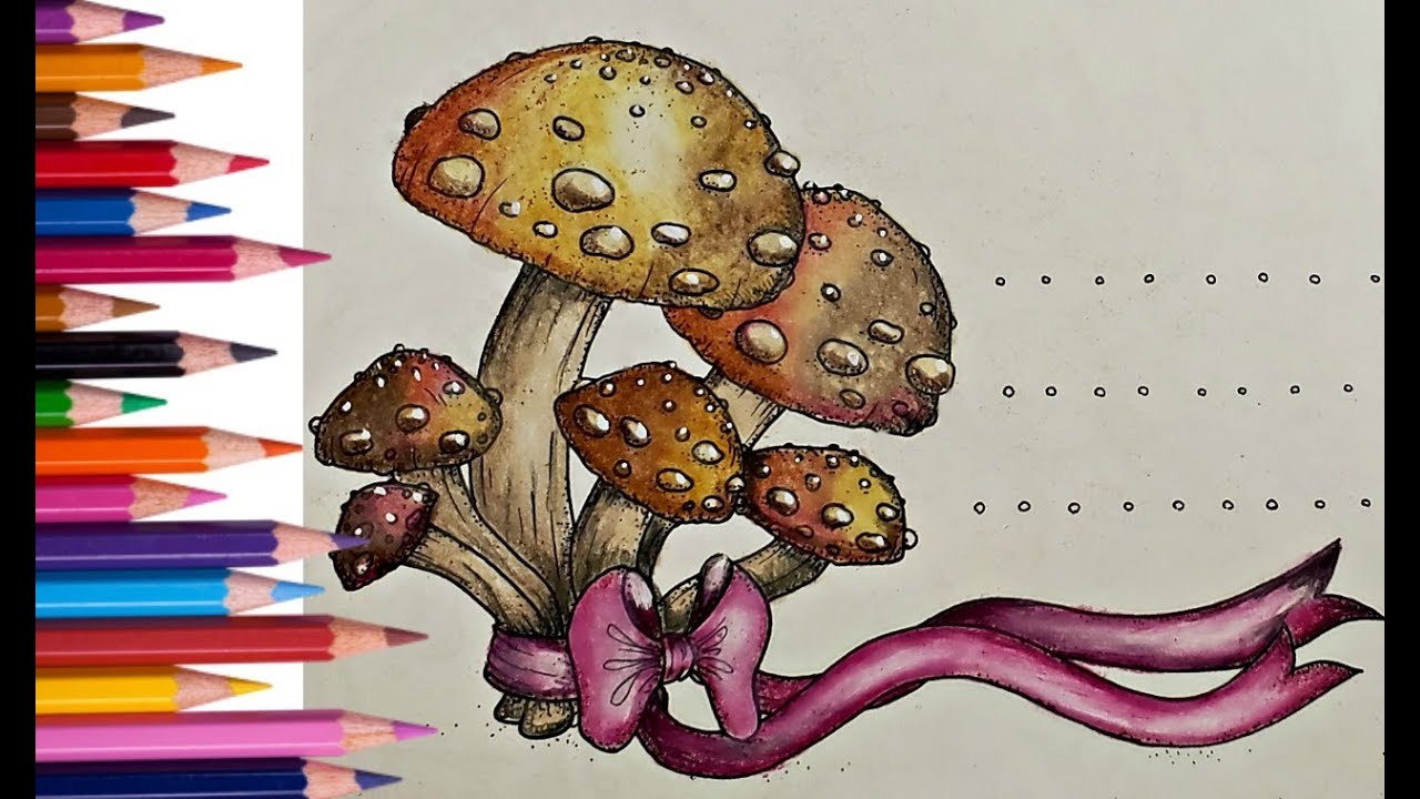 What Is The Universal Color Pencil Palette