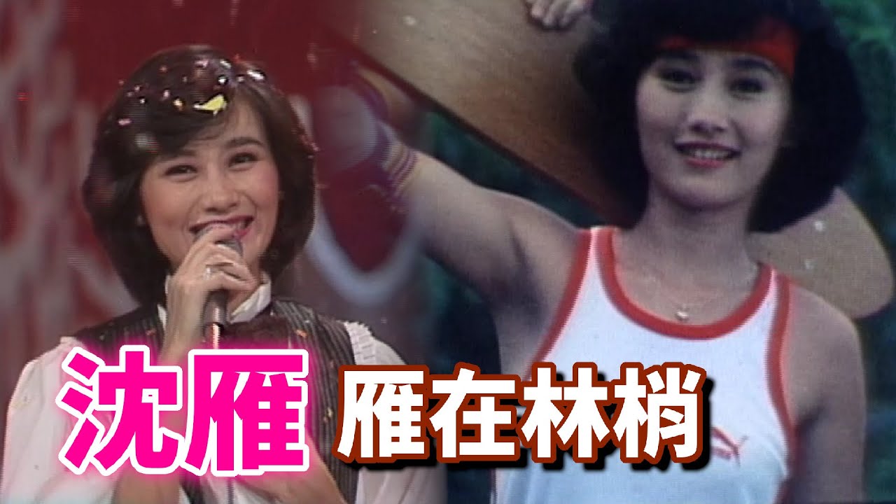 沈雁親唱主題曲《雁在林梢》【雁在林梢】精彩