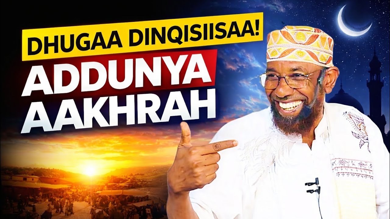 Sheikh Amin Ibro Namni Kun Akkamitti Addunyaa fi Aakhirah Wal Madaalche? | Seenaa Ajaa'ibaa