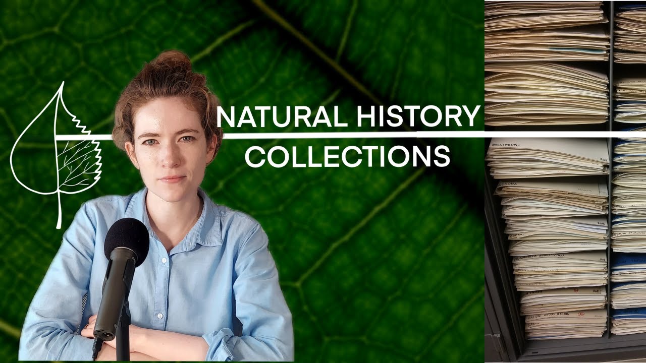 The Mysterious World of Natural History Collections