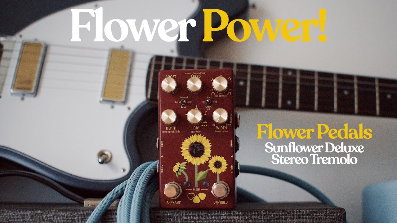 Flower Pedals Sunflower Stereo Tremolo | Ambient Sketch feat. UA Dream/Ruby Stereo Rig