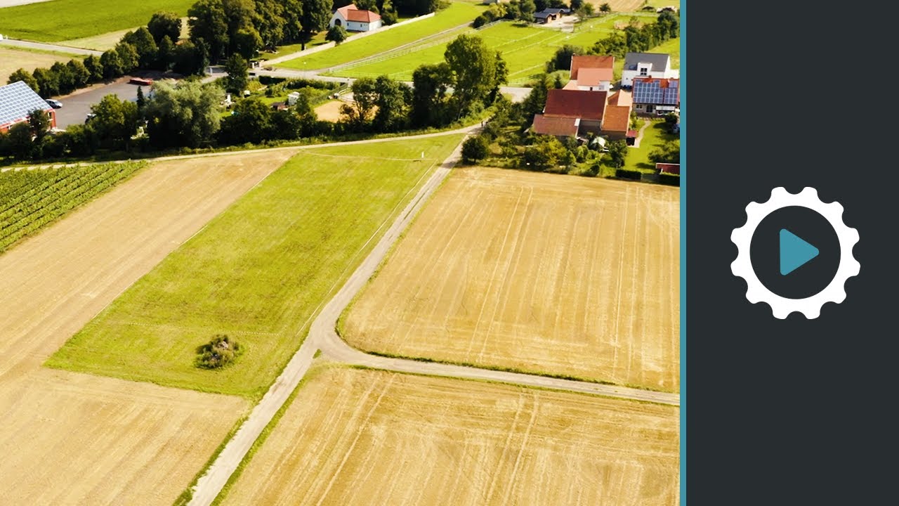 Römer in Rheinhessen - Mauchenheim