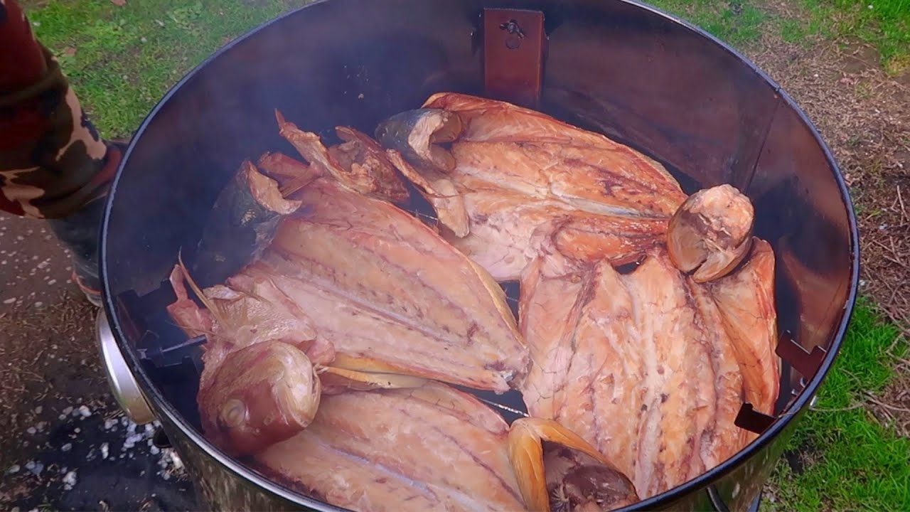 Snapper Fishing Mussel Farm BARREL SMOKED Goodness Catch and Cook!