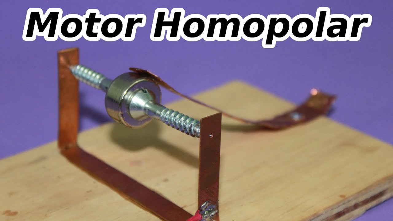 Motor Homopolar Horizontal