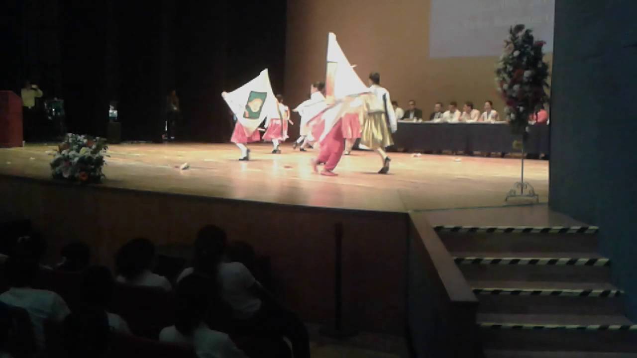 PAPAGALLOS CAMPECHE
