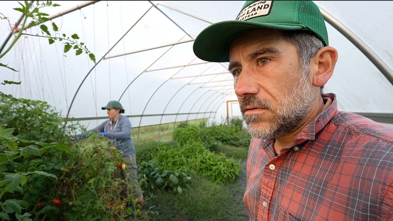 End of Season Struggle for the Reality of Growing Your Own Food