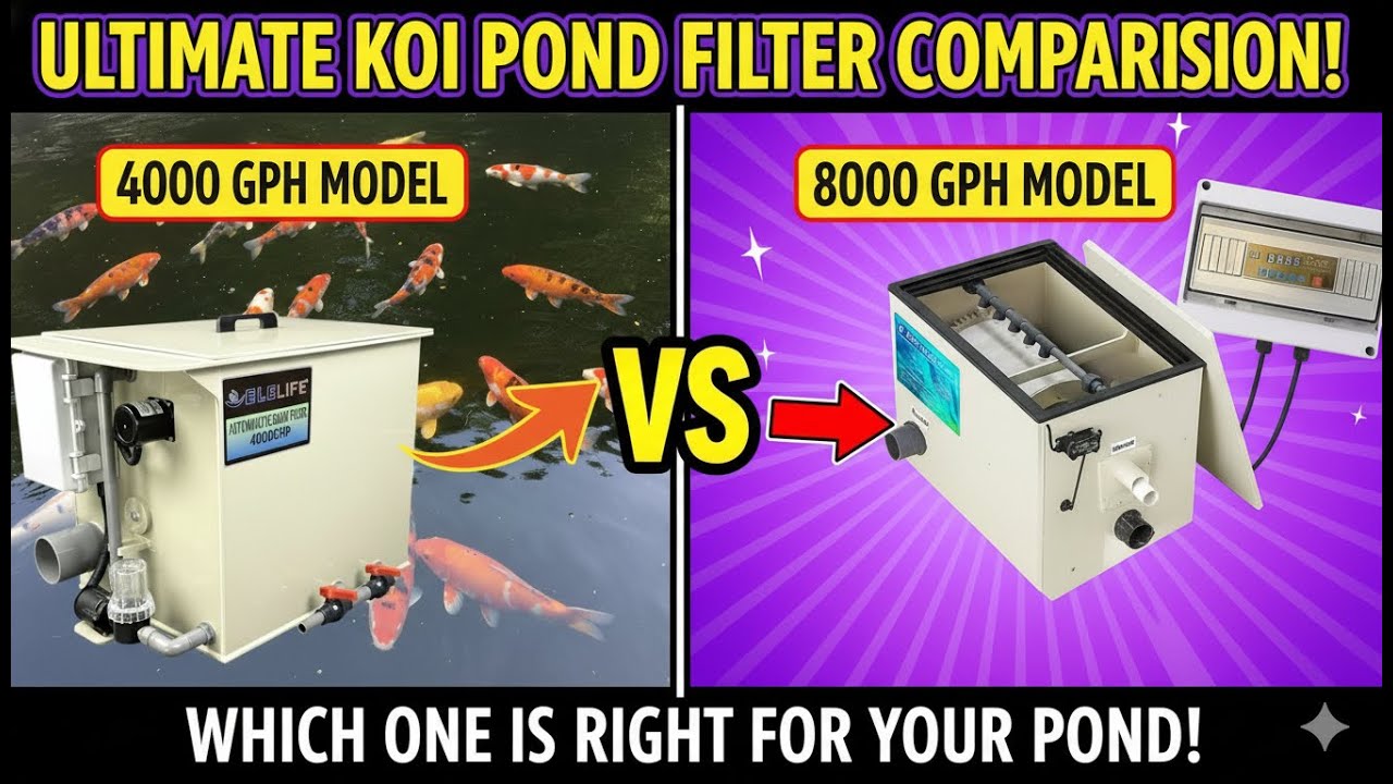 Comparison: ELELIFE 4000gph vs 8000pgh Advanced Rotary Drum Filter (RDF) for koi ponds