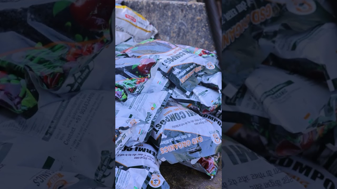 आज फिर GSD Organics का Vermicompost पहुँचा किसानों तक &mdash; ताकि उनकी फसल बने और भी बेहतर.