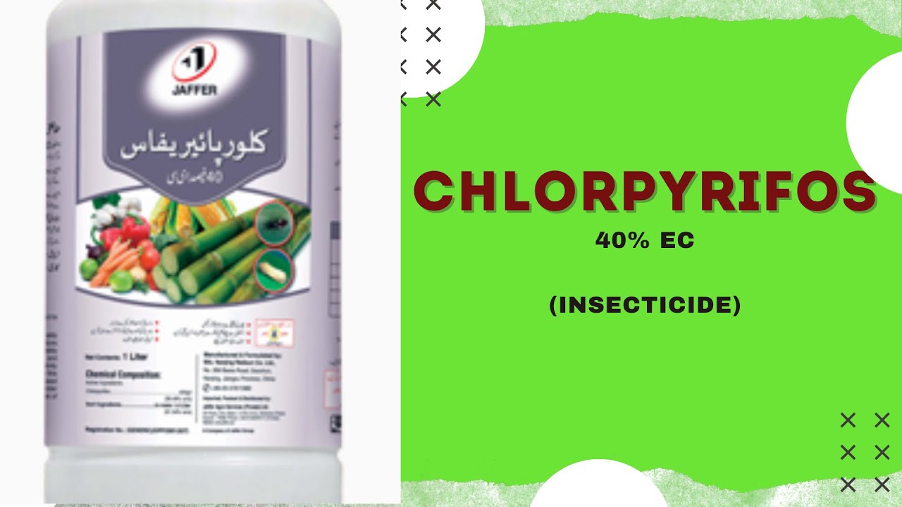 Chlorpyrifos 40 % EC Insecticide // Uses & Their Mode OF Action ( Urdu/ Hindi )