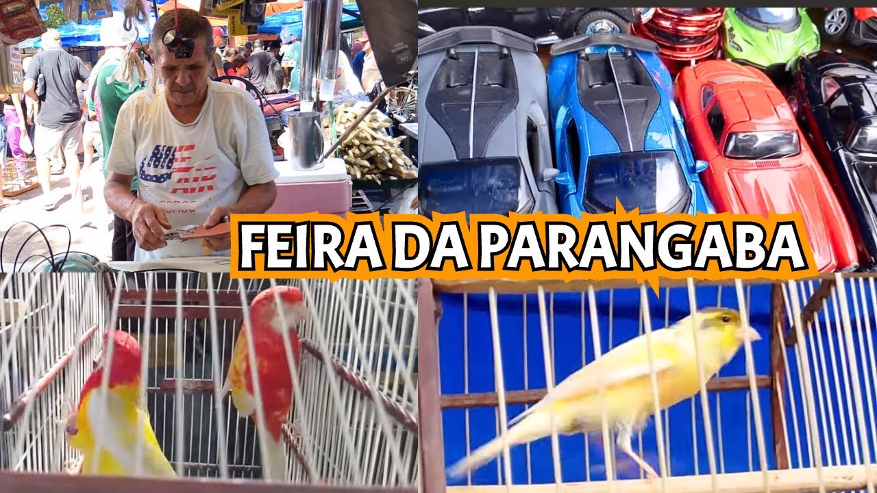 Feira da Parangaba Fortaleza - CE