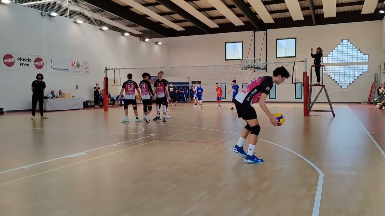 Cern Gialla Vs DR