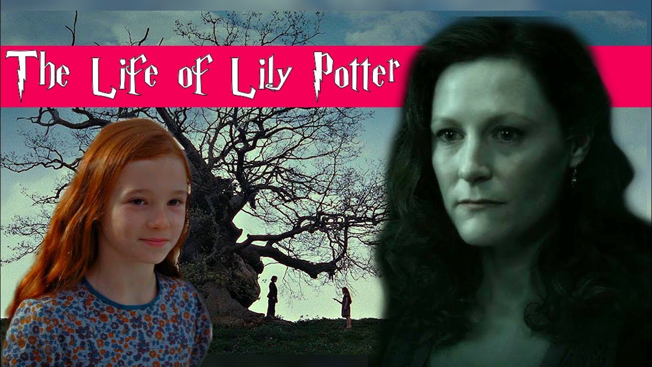 The Entire Life of Lily Potter