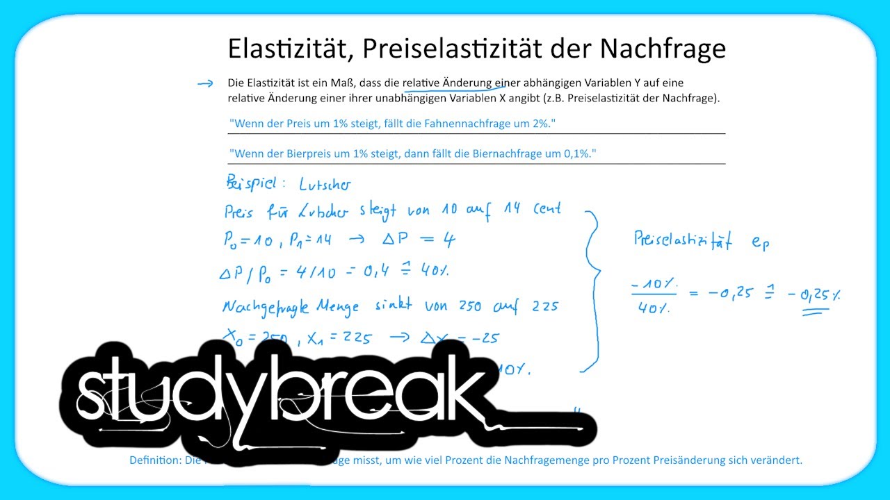 Elastizität, Preiselastizität der Nachfrage | Grundbegriffe der Wirtschaftslehre