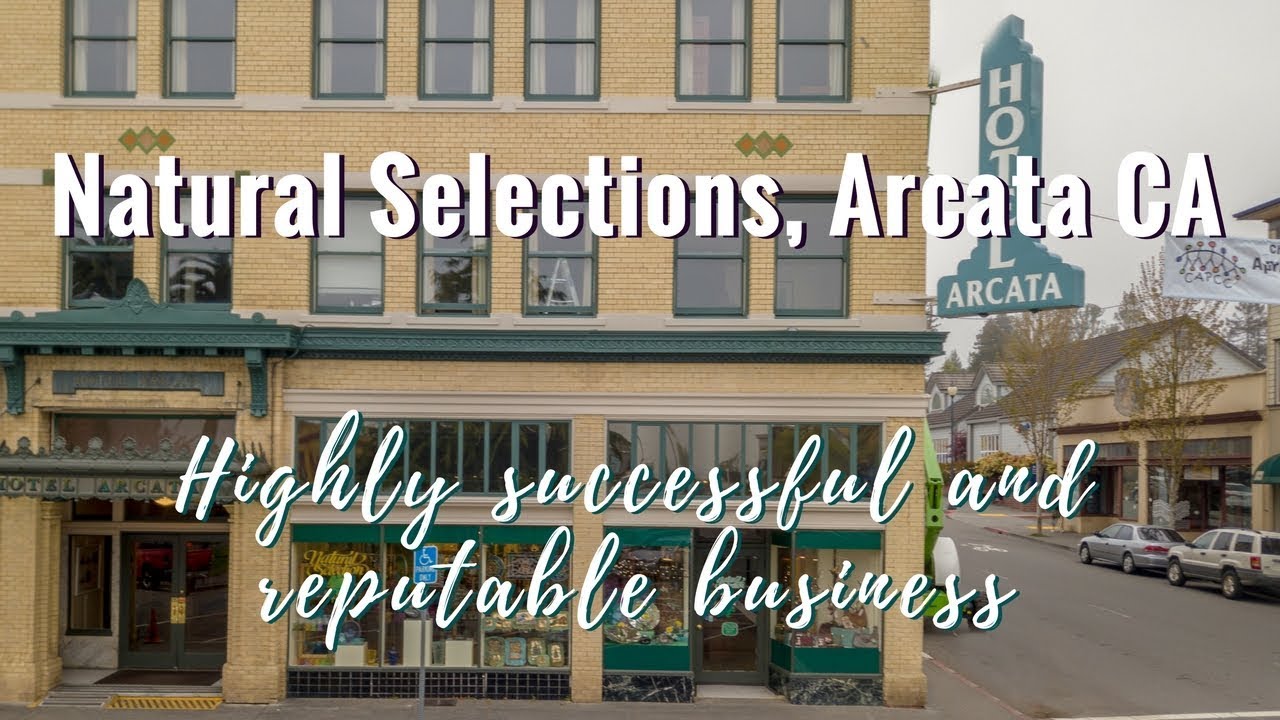 Natural Selection. Highly successful and reputable business in the Arcata Plaza.