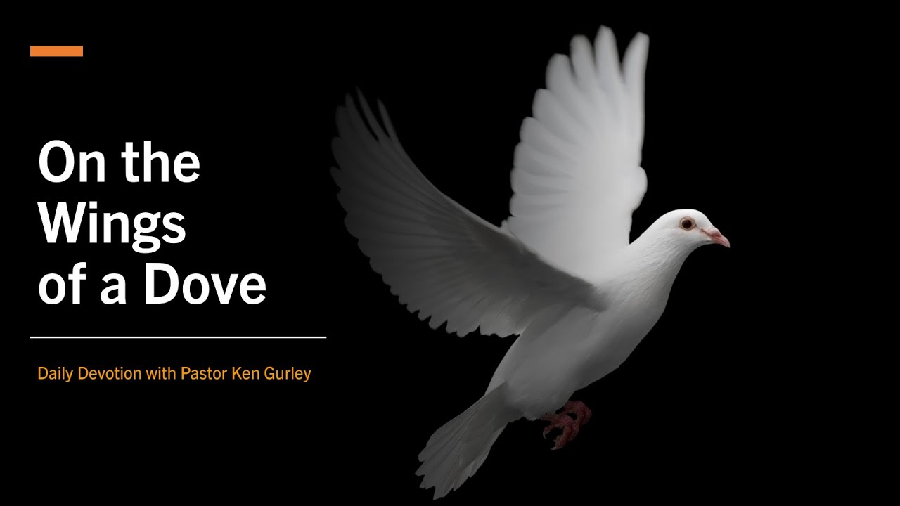 On the Wings of a Dove