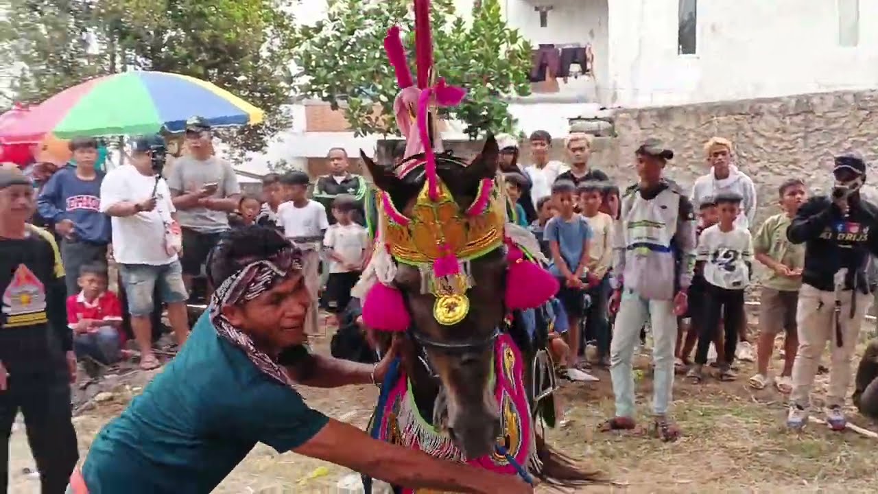 atraksi kuda silat cep putri dan mang lala feat PPG group#kudarenggong #ppg 