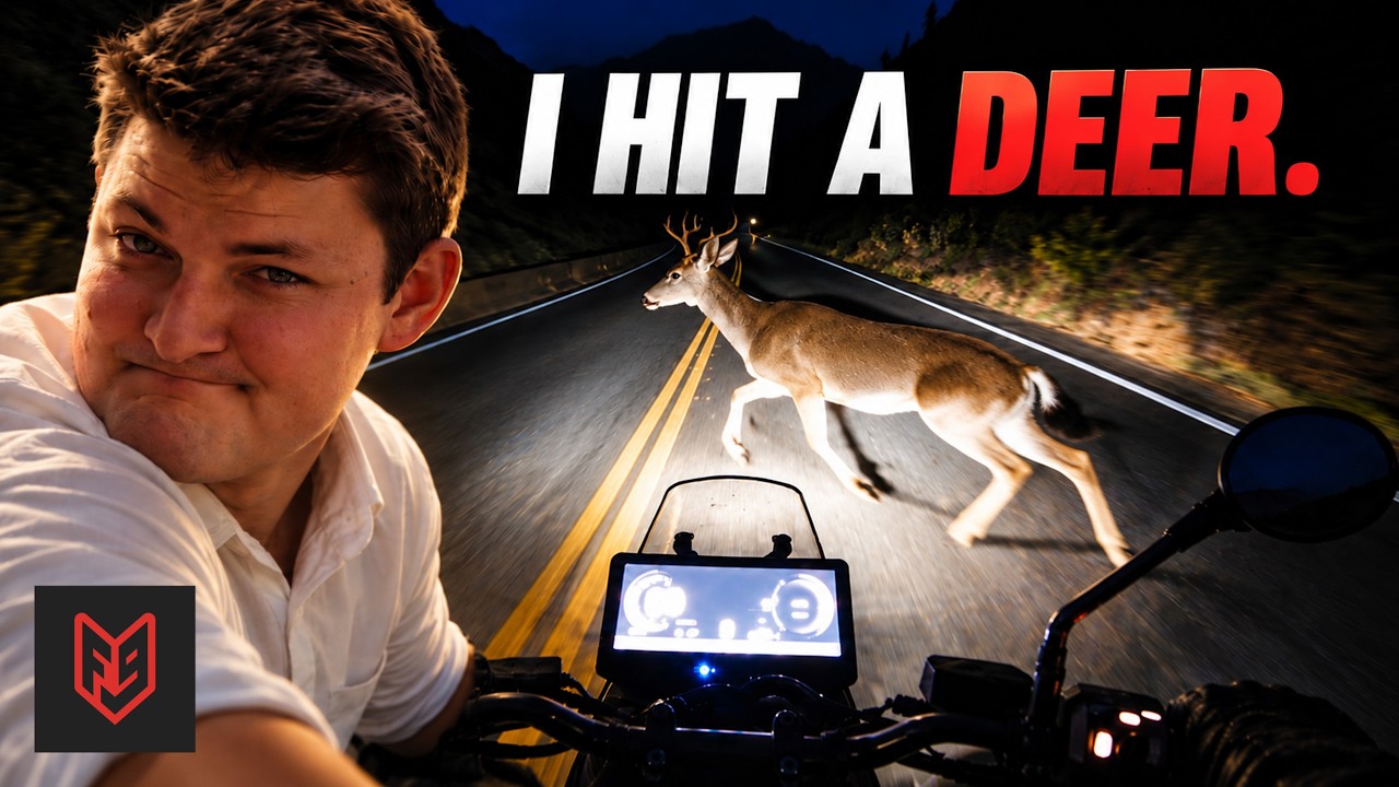 5 Tips for Hitting a Deer