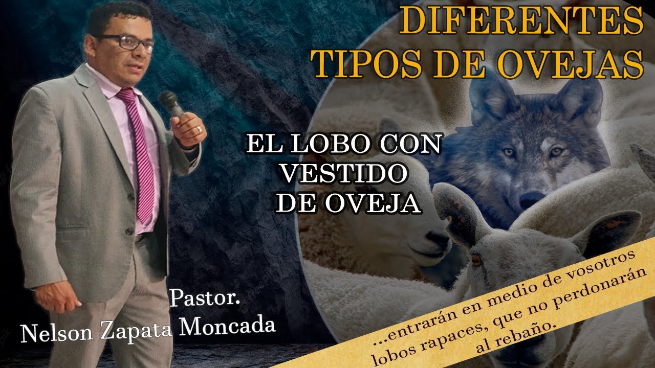 Tipos de Ovejas | El lobo Vestido de Oveja | Pastor Nelson Zapata
