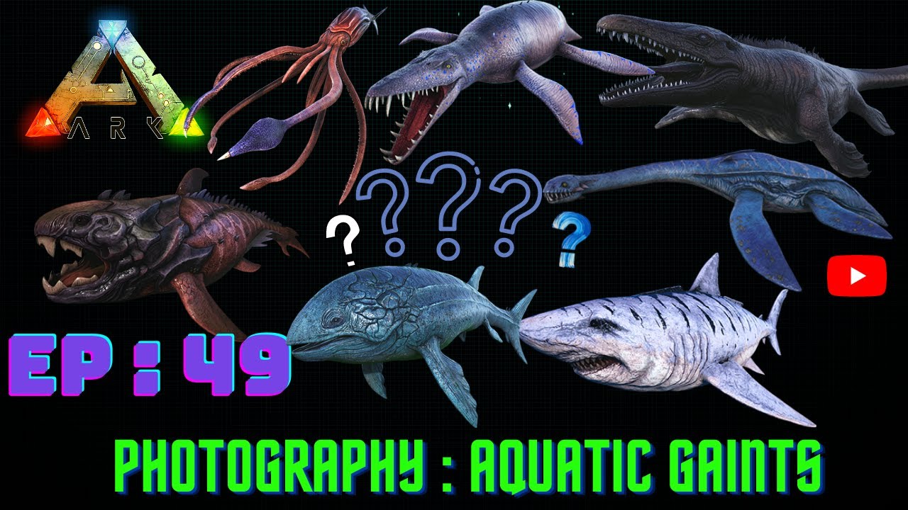 Photography : Aquatic Giants || Pursuiy || EP 49 || Ark Mobile