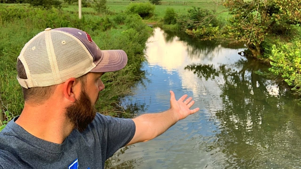 Catching Warmouth on Trout Magnets (BUT WHY)