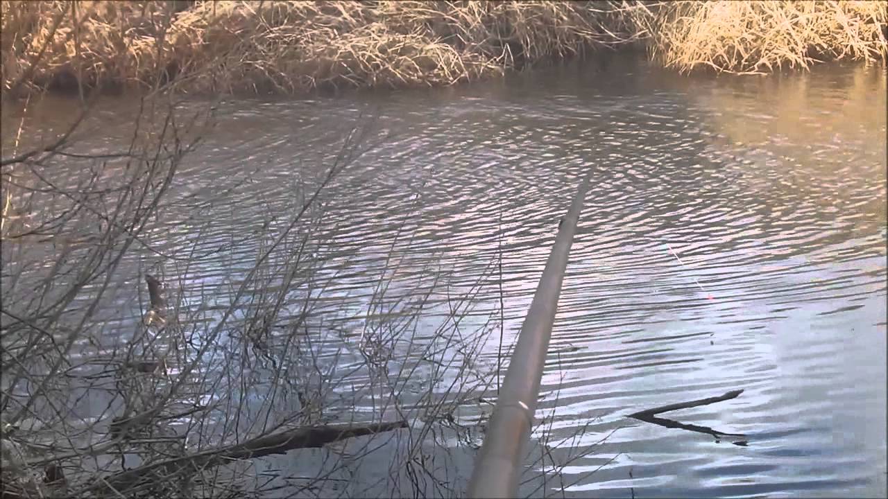 GUIDE TO POLE FISHING ON RIVERS.... THE POLE FEEDER.