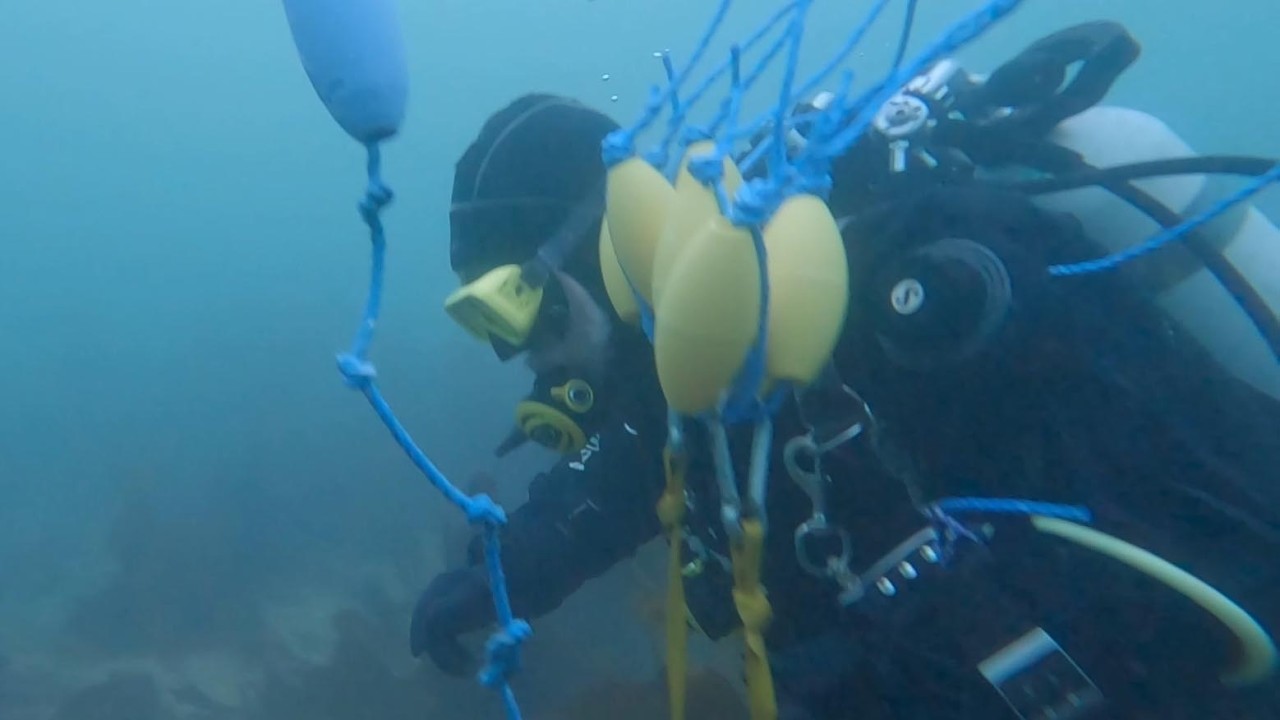 2026   #4   Dive 379   North Strome Maerl Survey Marking   08 02 26