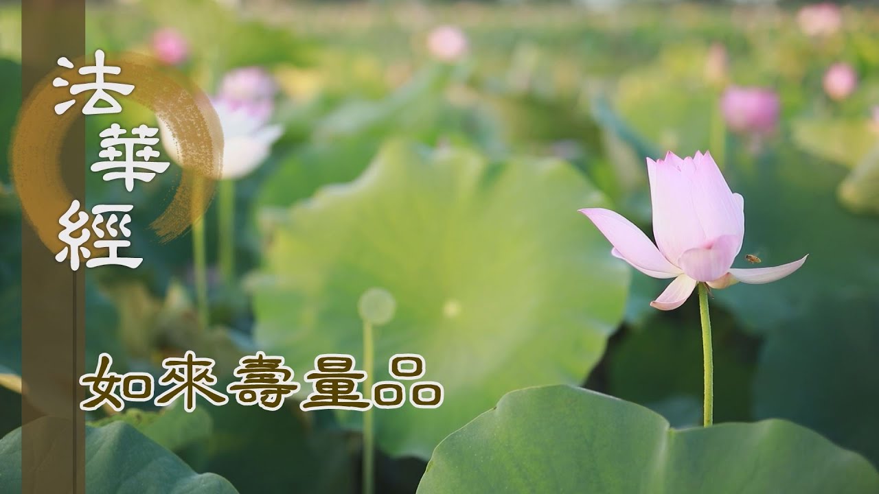 【靜思妙蓮華】法華經如來壽量品 - 真理常住 本無生滅 - 20231116 第1547集