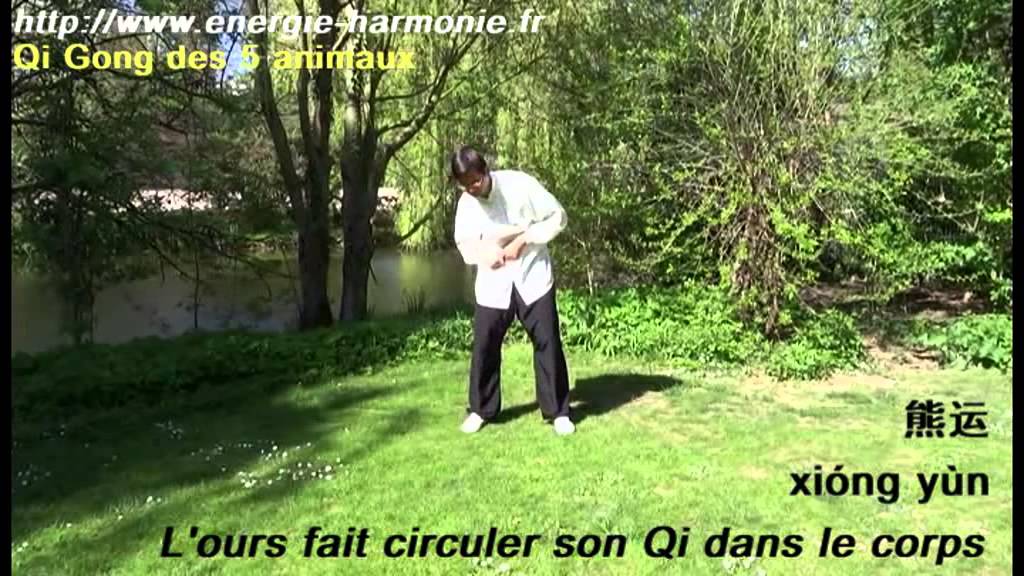 Qi Gong des 5 animaux (Wu Qin Xi 五禽戏)