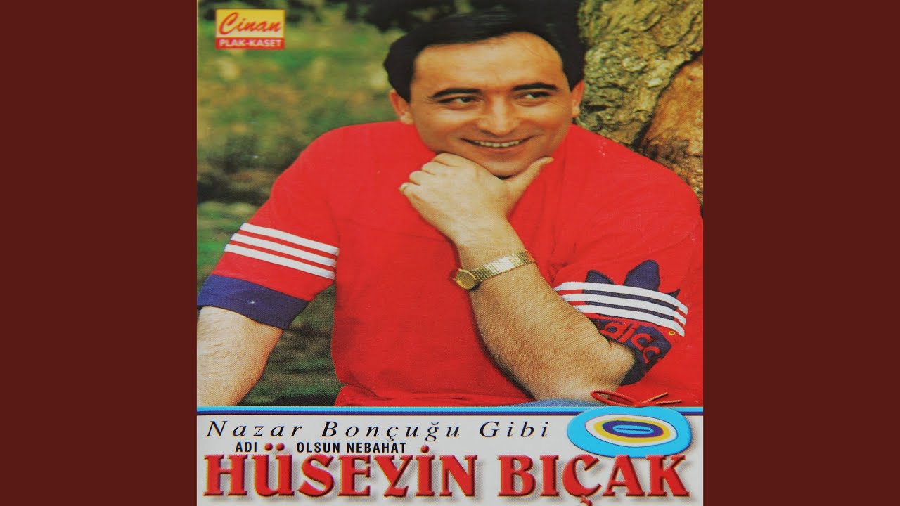 Ayrıldım Memleketten