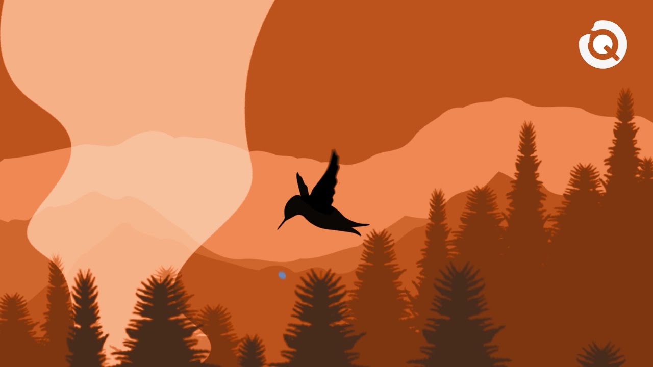 LA LÉGENDE DU COLIBRI