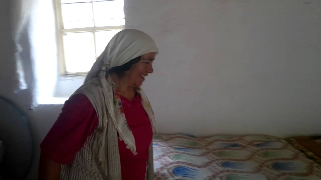 Erzincan Sarikaya Sedo Mezrasi 3