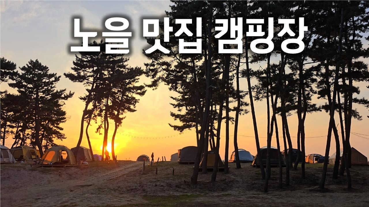 태안 바다뷰 캠핑장 추천(feat. 해루질 애견동반 캠핑장 ) 태안 노을숲캠핑장 리뷰