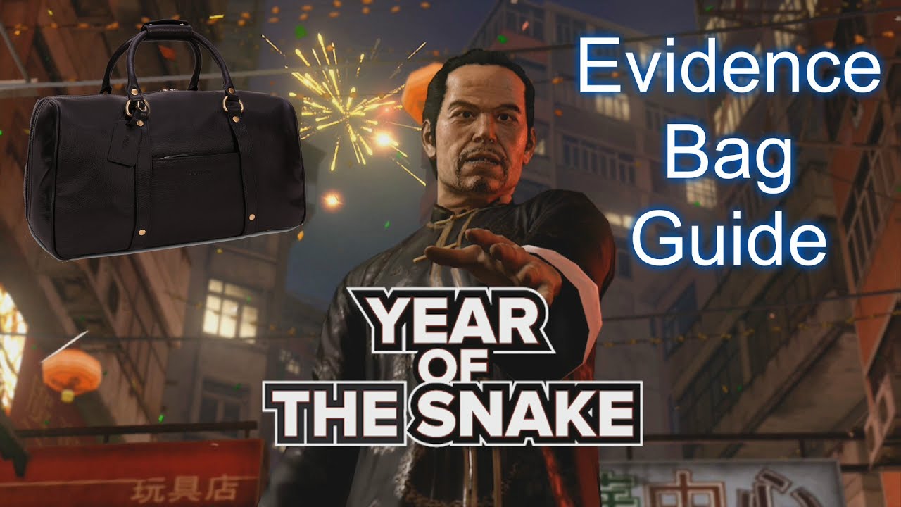 Sleeping Dogs Year of the Snake Evidence Bag Guide