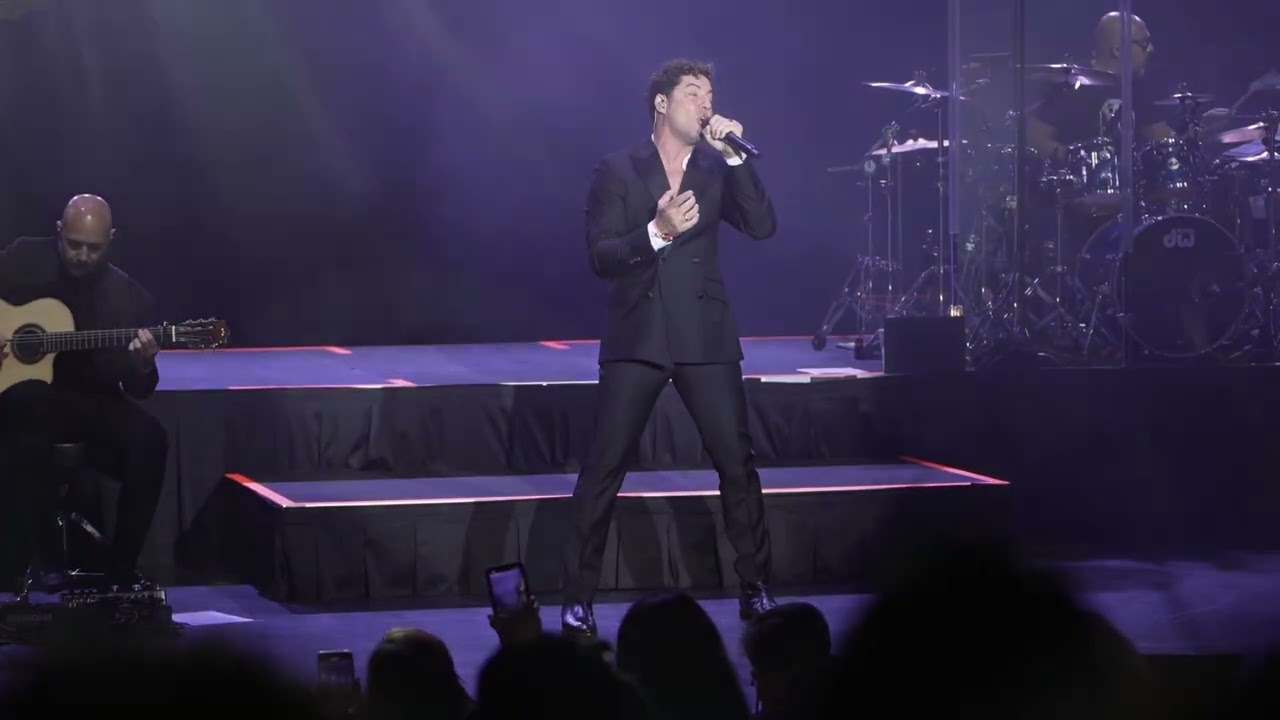 David Bisbal  cantando el triste en San Diego! | Back In The USA Tour
