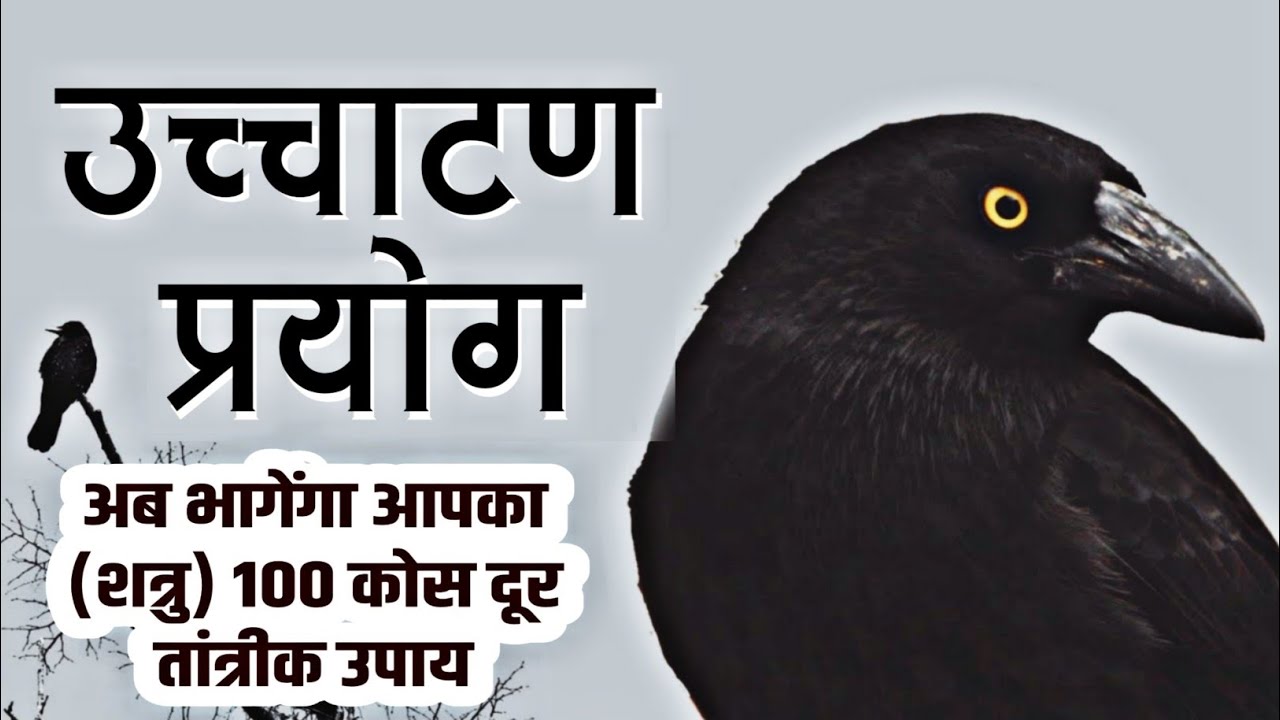 उच्चाटन मंत्र, Whatsapp no.7067545270 दुश्मन को हमेशा के लिए बाहर भगाने का प्रयोग।।