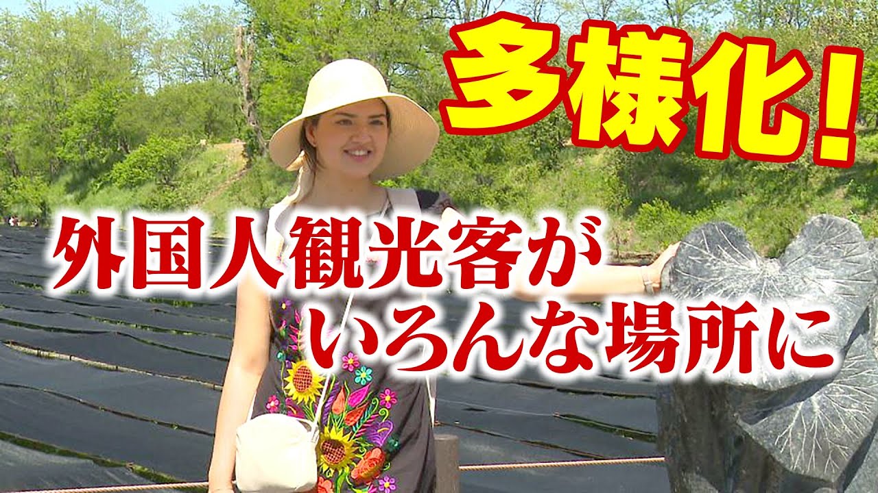 外国人客がいろんな場所に　人気スポット以外にも　楽しみ方が多様化　朝の法要「お朝事」にツアー客　ヨーロッパからの訪問目立つ