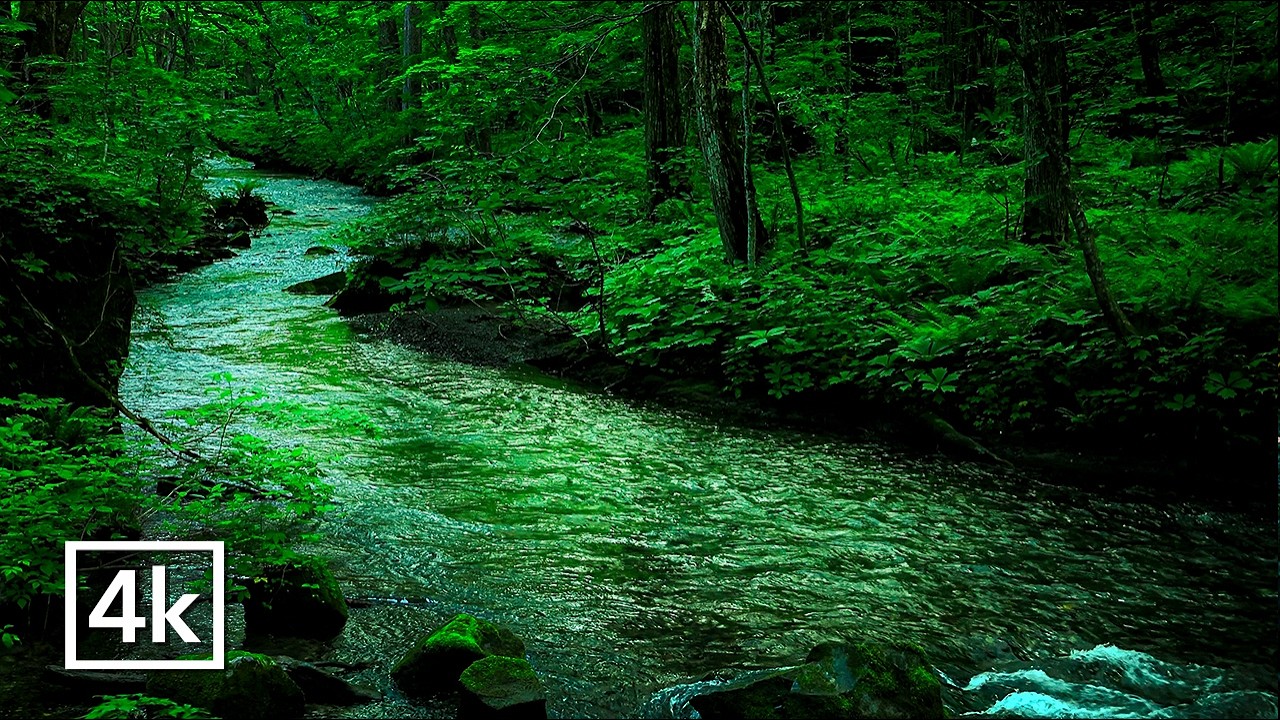 4K Gentle Water Sounds for Deep Sleep | 10 Hours