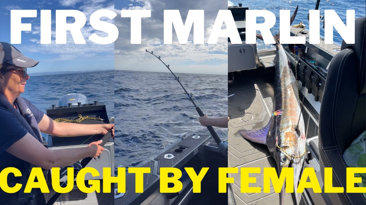PENDING TASMANIAN RECORD | FIRST MARLIN CAUGHT BY FEMALE | Independent Oils Game Fishing Classic